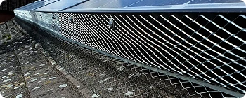 Bird Proofing Services